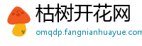 枯树开花网